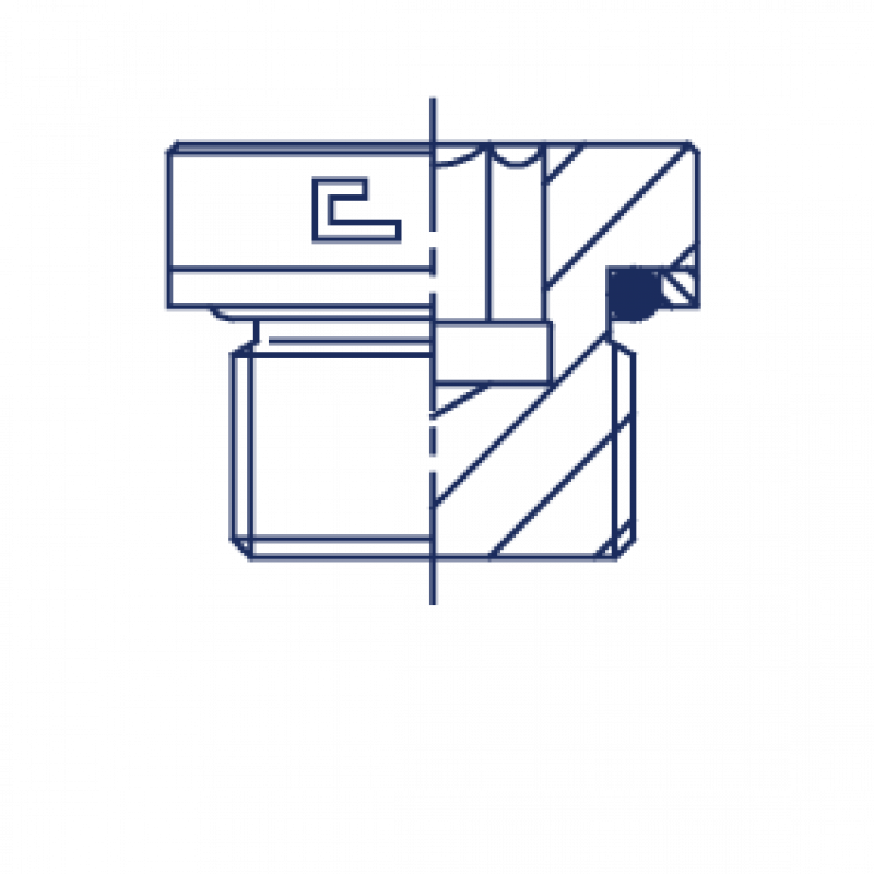 Заглушка V (Ш) BSP1/8"