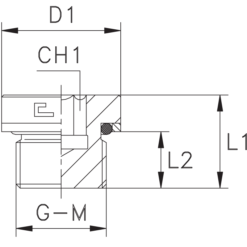 Заглушка V (Ш) BSP1/8"
