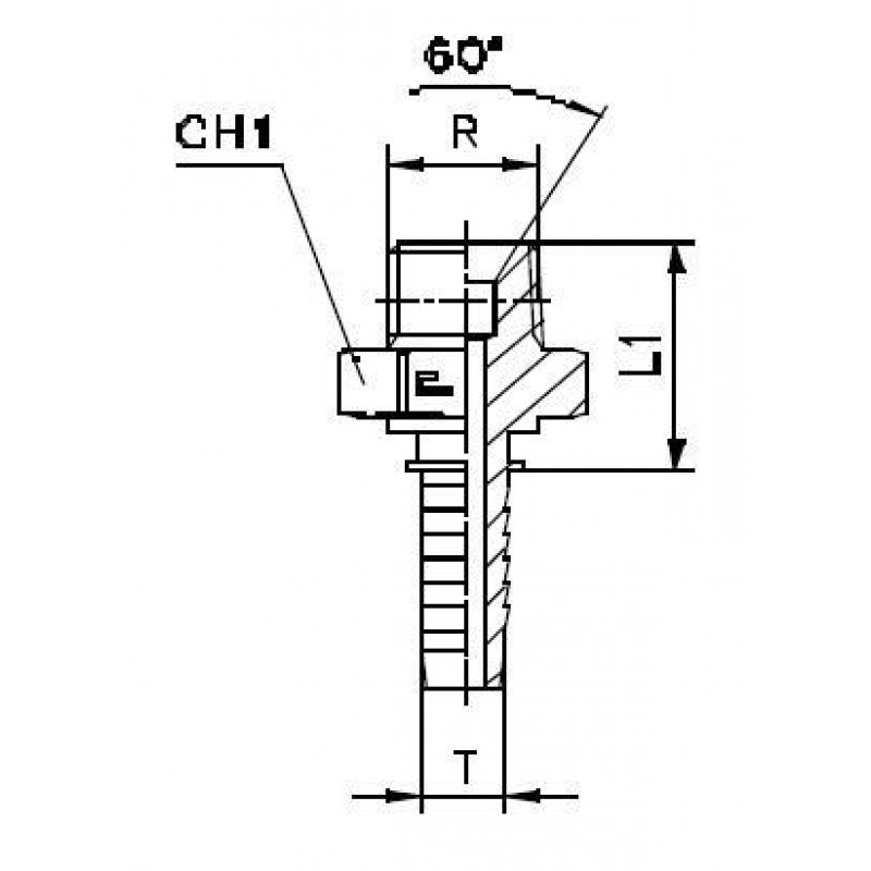 Фитинг DN 12 BSPT 1/2