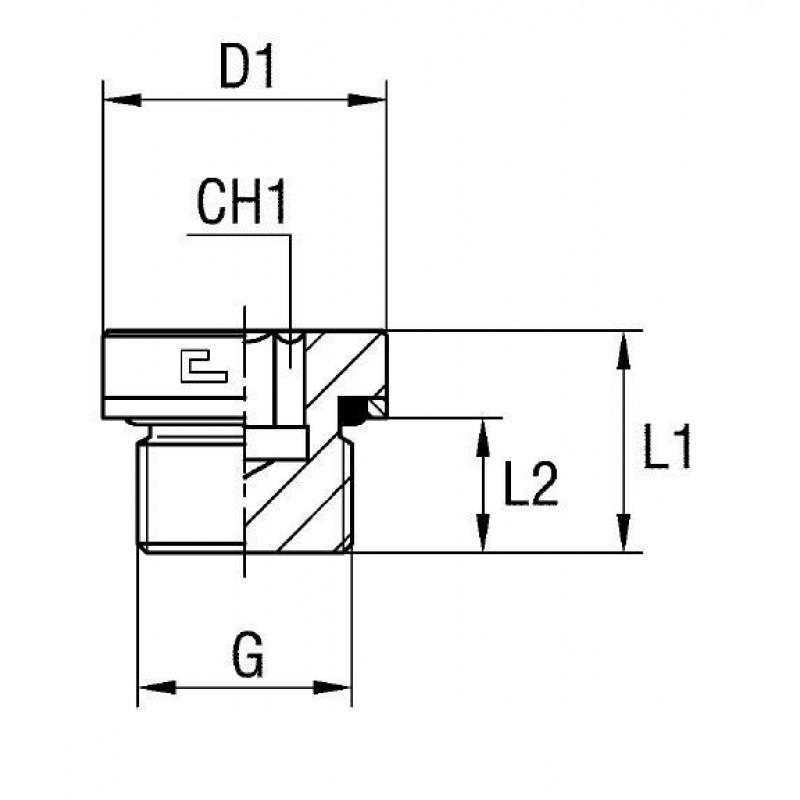 Заглушка V (Ш) BSP3/8"